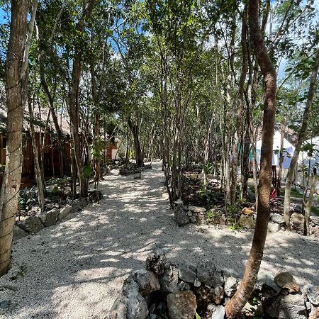 Bayou تولوم المظهر الخارجي الصورة