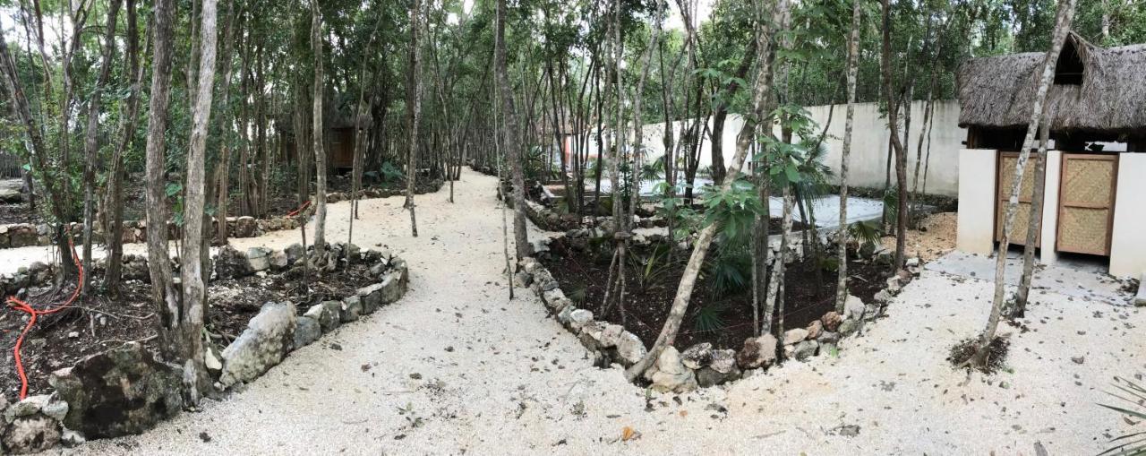 Bayou تولوم المظهر الخارجي الصورة